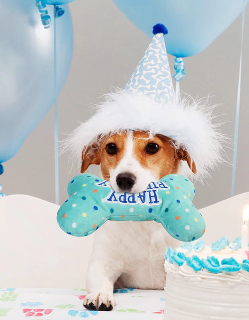 Load image into Gallery viewer, Dog Birthday Toys, Plush Dog Crinkle Squeaky Toys, Dog Chew Toys Bone
