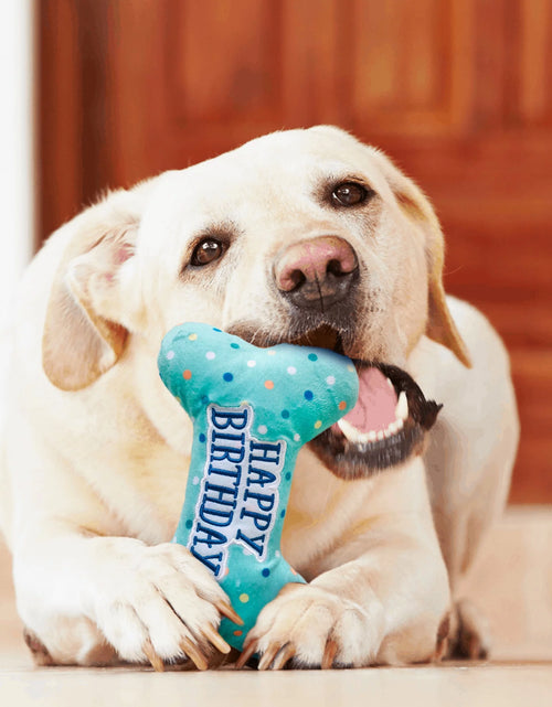 Load image into Gallery viewer, Dog Birthday Toys, Plush Dog Crinkle Squeaky Toys, Dog Chew Toys Bone
