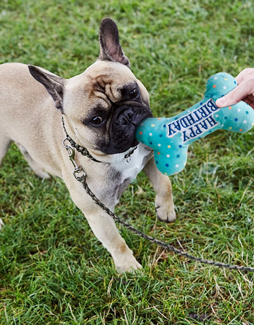 Load image into Gallery viewer, Dog Birthday Toys, Plush Dog Crinkle Squeaky Toys, Dog Chew Toys Bone
